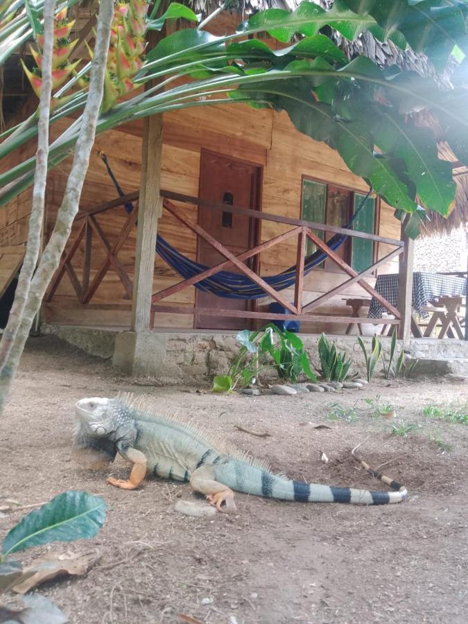 Ecocabanas Diosa Jaguar Tayrona La Esmeralda  Exterior photo